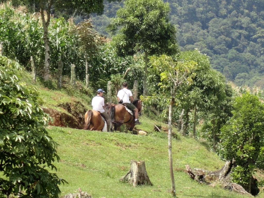 Sitio Colina Ξενοδοχείο Rio do Sul Εξωτερικό φωτογραφία